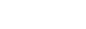 Sevilha Contabilidade Anderson Hernandes Tactus